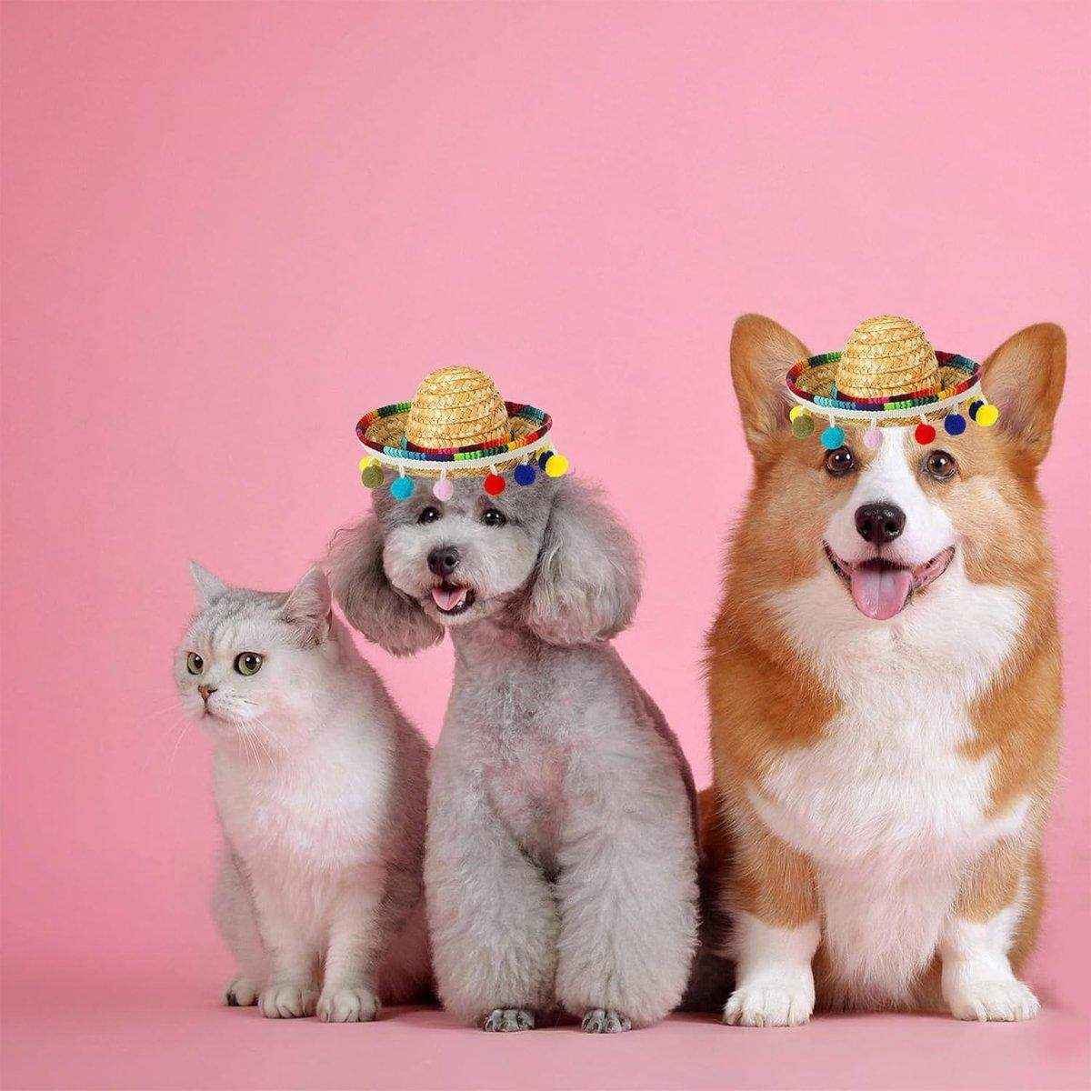 Striped Triangle Pet Towel & Fur Ball Straw Hat Scarf Set, Colorful Pet Accessories - Image 13