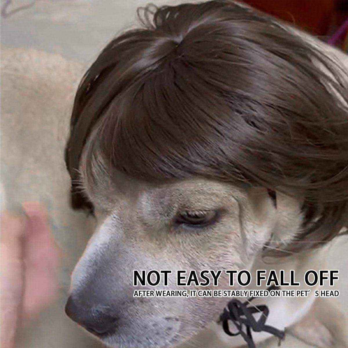 Stylish  Funny Pet Wig With Bangs Fun and Comfortable - Image 4