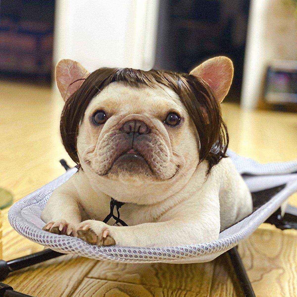 Stylish  Funny Pet Wig With Bangs Fun and Comfortable - Image 7