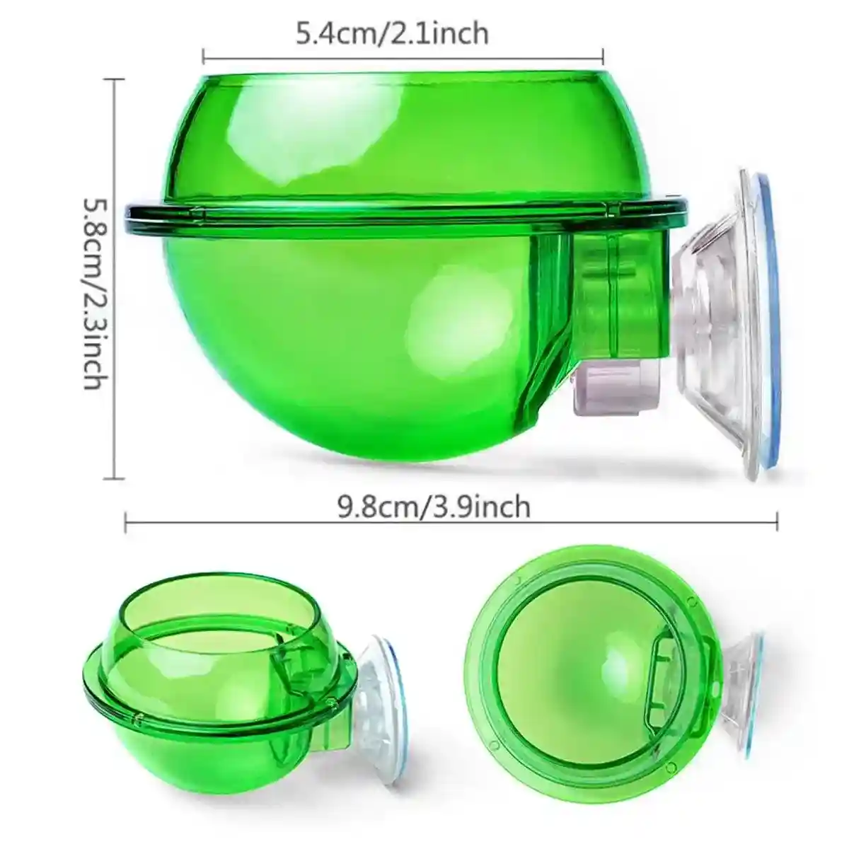 Suction Cup Reptile Feeder Bowl Anti-Escape Feeding Dish for Small Reptiles - Image 11