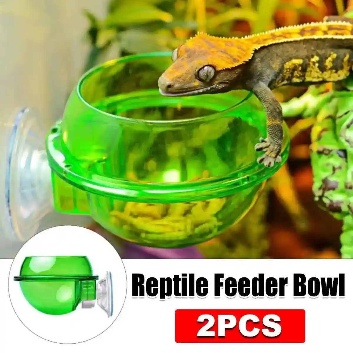 Suction Cup Reptile Feeder Bowl Anti-Escape Feeding Dish for Small Reptiles - Image 2