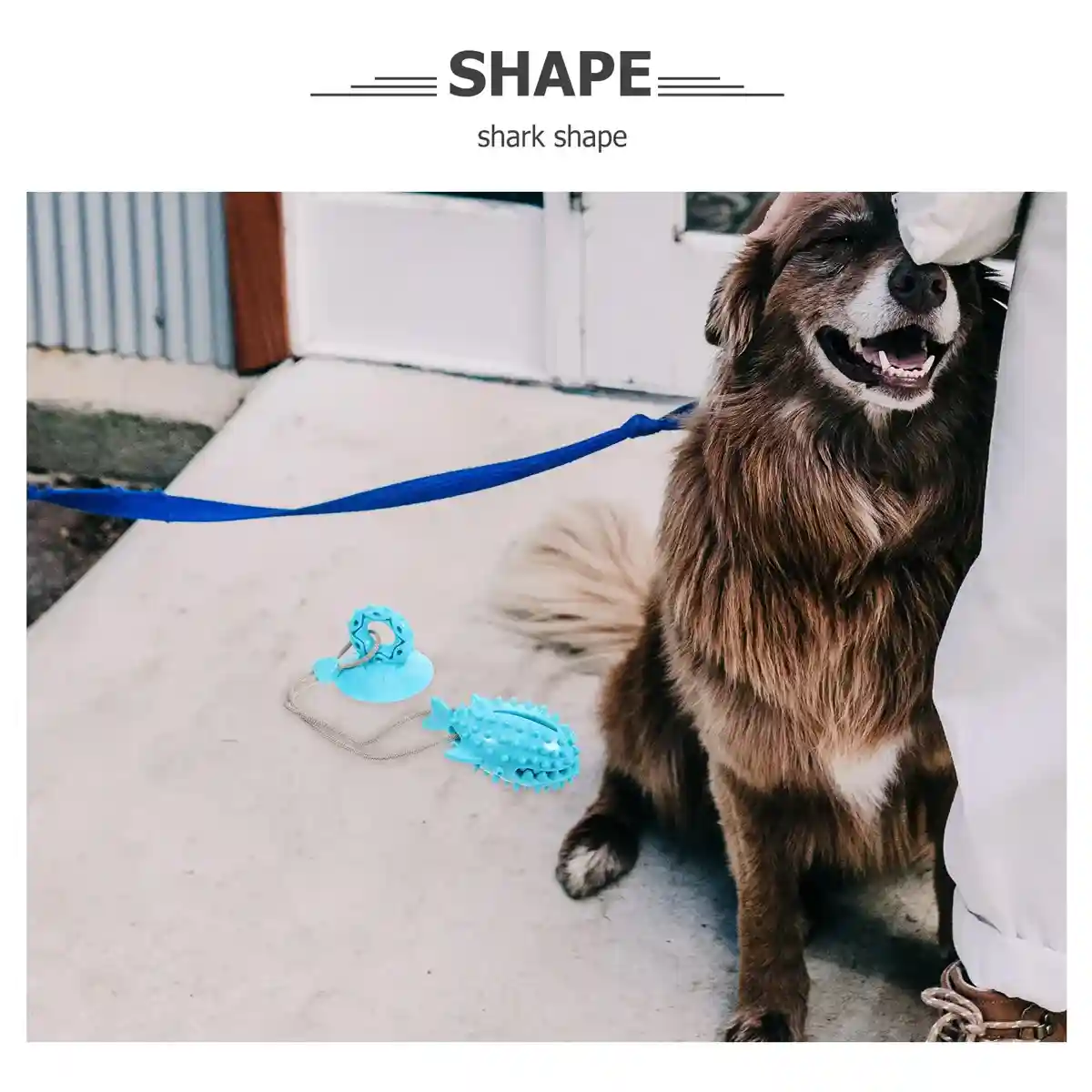 Suction Cup Tug Toy for Dogs - Image 4