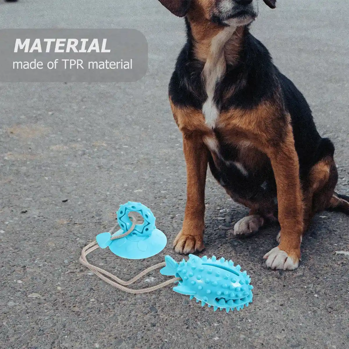 Suction Cup Tug Toy for Dogs - Image 5