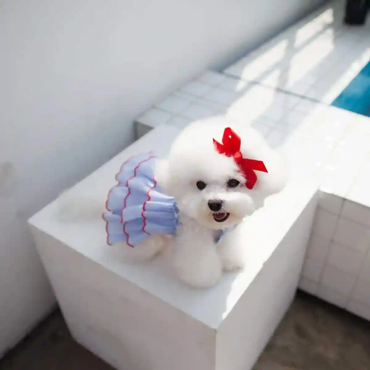 Summer Pet Princess Skirt Cat Dog Dress - Image 7