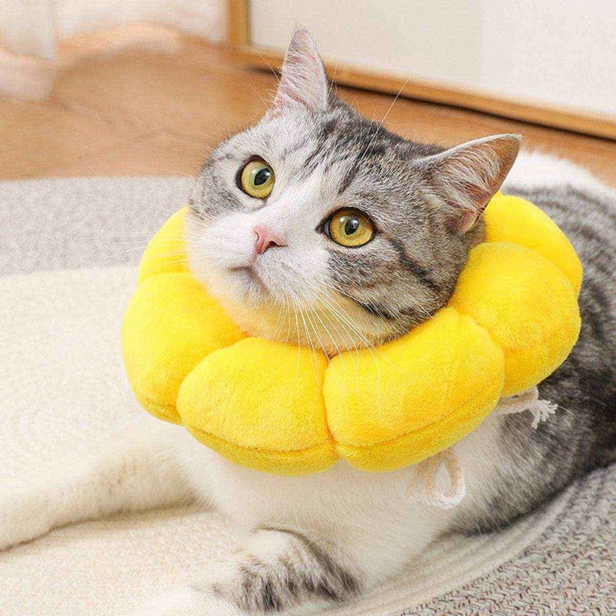 Sunflower Cat Elizabethan Collar Soft Recovery Cone for Cats - Image 12