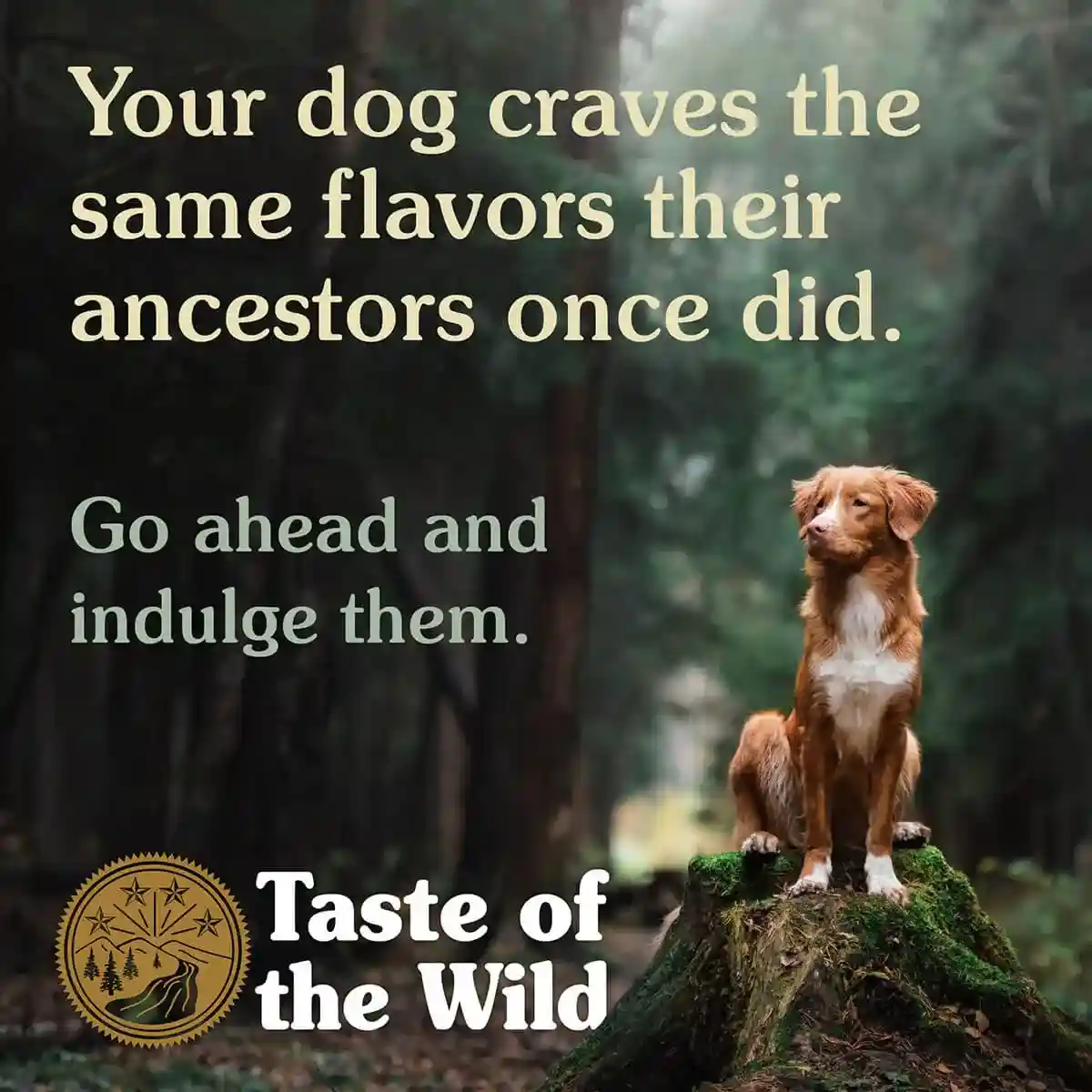 Taste of the Wild Appalachian Valley Small Breed Venison Dog Food 2kg/5.6kg - Image 7