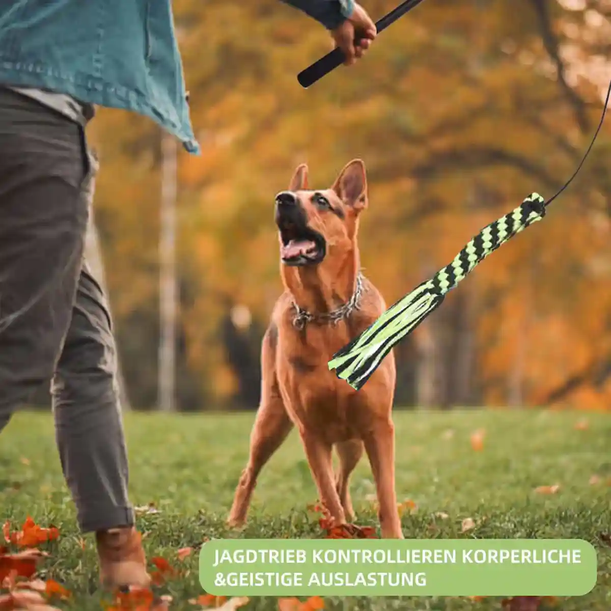 Telescopic Dog Teaser Stick with Chew Toys for Large Breed Training - Image 5