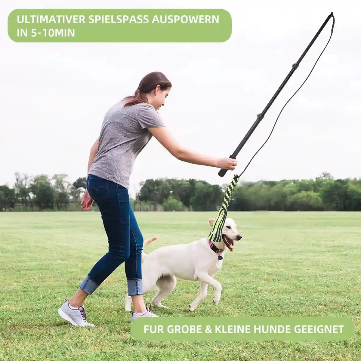 Telescopic Dog Teaser Stick with Chew Toys for Large Breed Training - Image 7