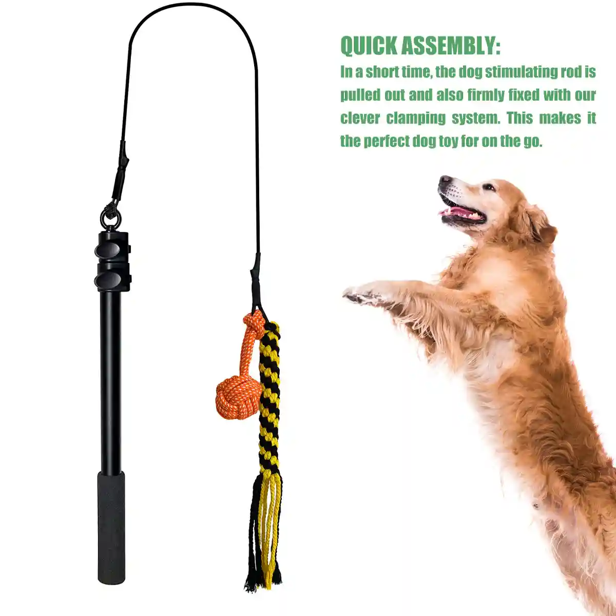 Telescopic Dog Teaser Stick with Chew Toys for Large Breed Training - Image 8