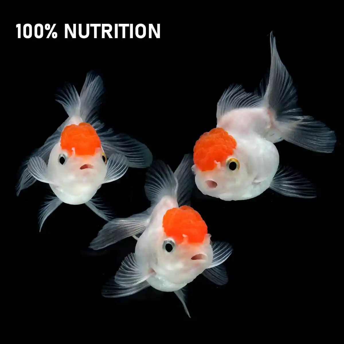 TETRA GOLDFISH WEEKEND 10CT 9G - Image 11