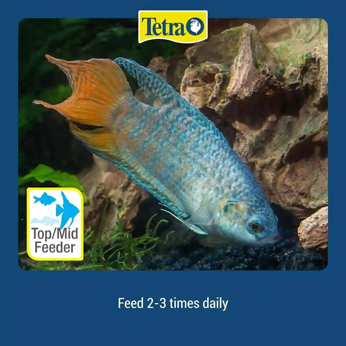 TETRAMIN TROPICAL FLAKES 12G - Image 7