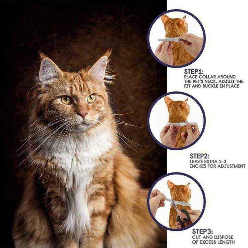 Durable Flea and Tick Collar for Cats & Dogs - Image 11