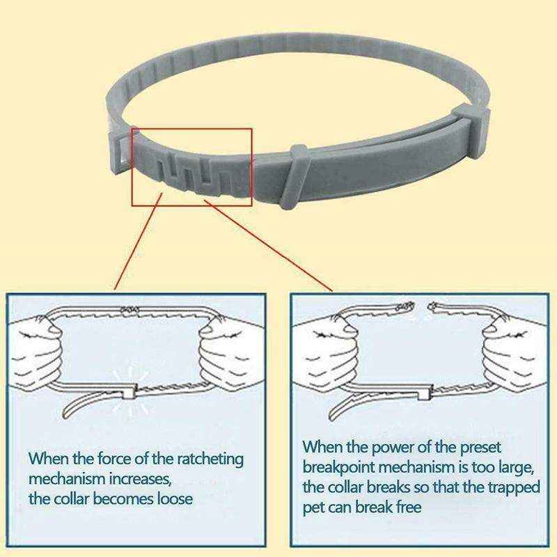 Durable Flea and Tick Collar for Cats & Dogs - Image 12