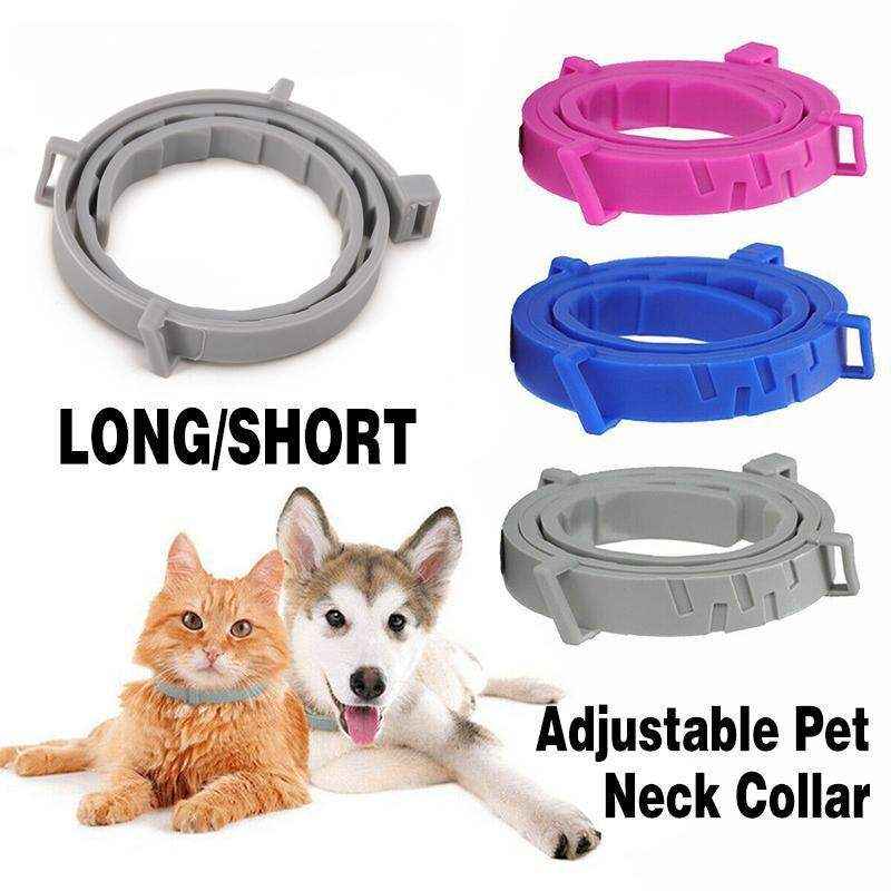 Durable Flea and Tick Collar for Cats & Dogs - Image 13