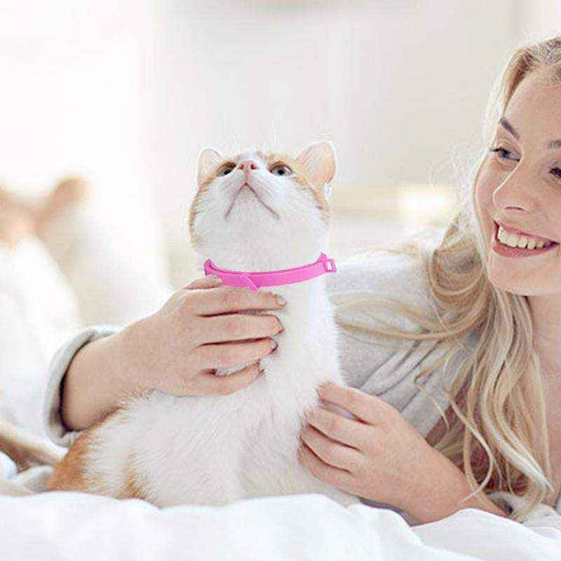 Durable Flea and Tick Collar for Cats & Dogs - Image 5