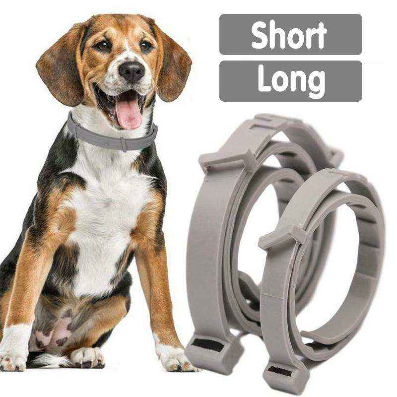 Durable Flea and Tick Collar for Cats & Dogs - Image 6