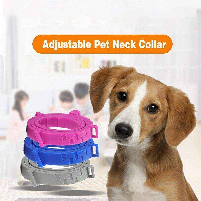 Durable Flea and Tick Collar for Cats & Dogs - Image 8