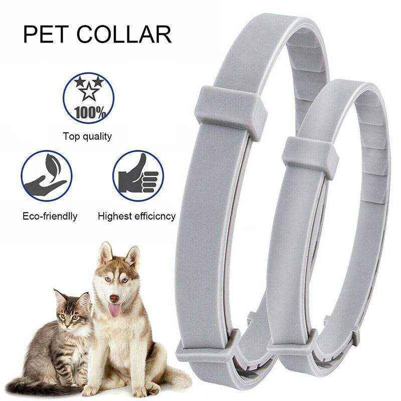 Durable Flea and Tick Collar for Cats & Dogs - Image 9