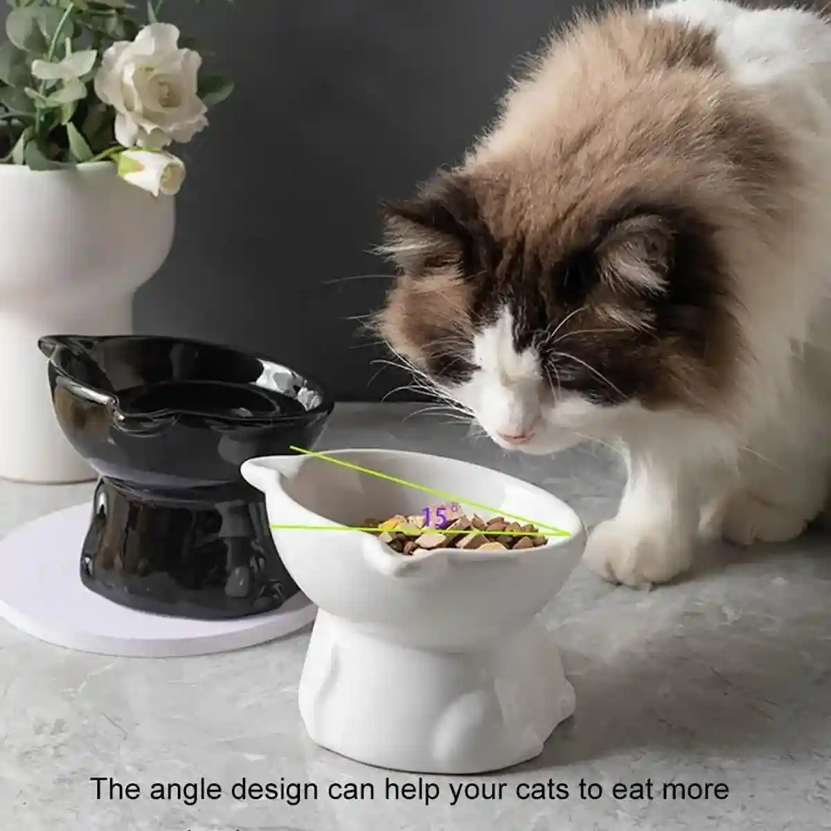 Tilted Ceramic Cat Bowl Ergonomic Design - Image 11
