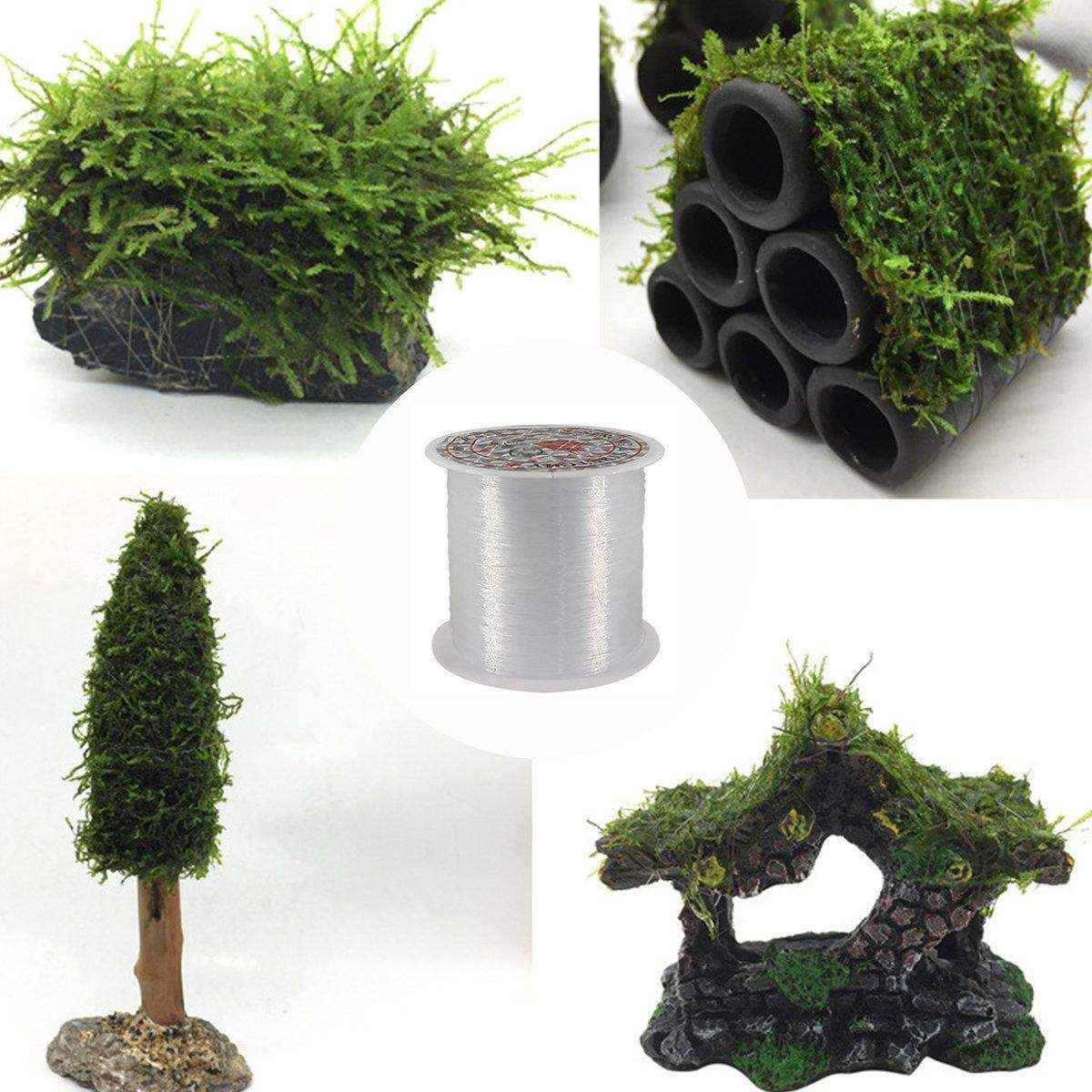 Transparent Aquarium Moss Binding Line 5pcs Crystal Fishing Line for Plant Tank - Image 4