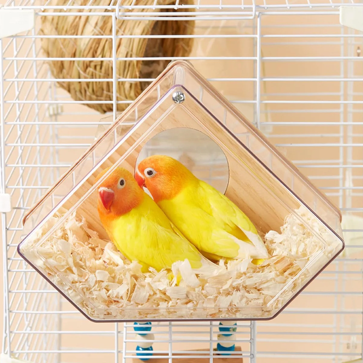 Transparent Bird Breeding Box With Perch - Image 11