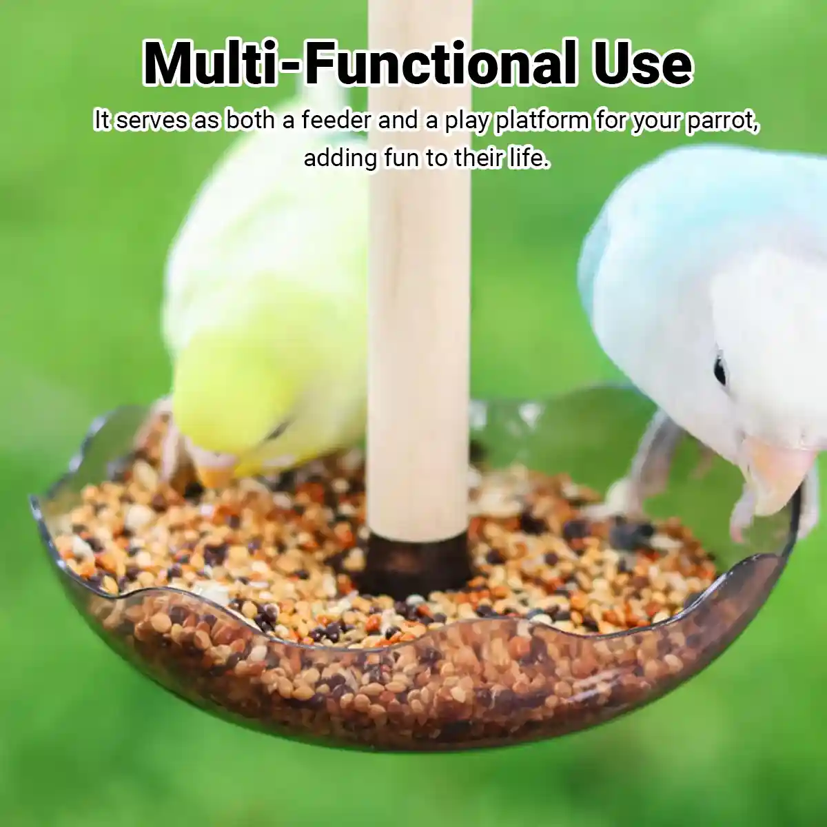 Transparent Bird Feeding Bowl with Perch for Parrots and Lovebirds - Image 6