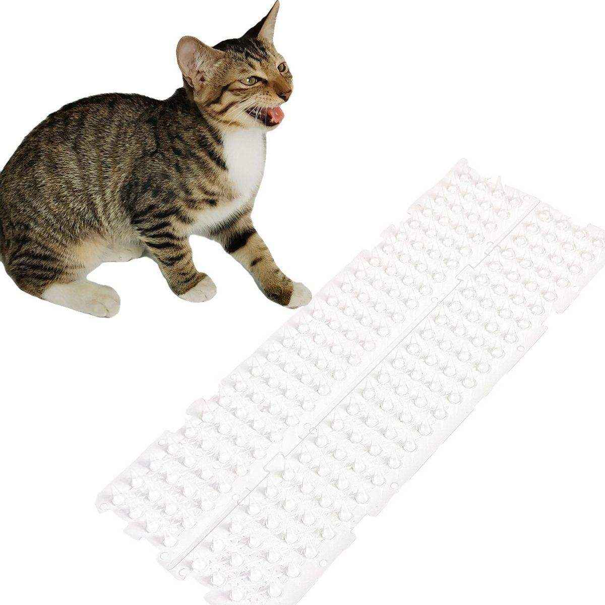 Transparent Bird Spikes Durable & Weatherproof Pest Deterrent for Outdoor Use - Image 4