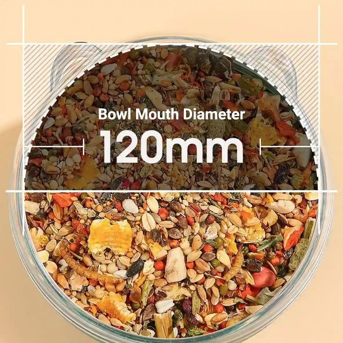 Transparent Hamster Bowl with Raised Feet Easy-to-Clean Pet Feeder - Image 3