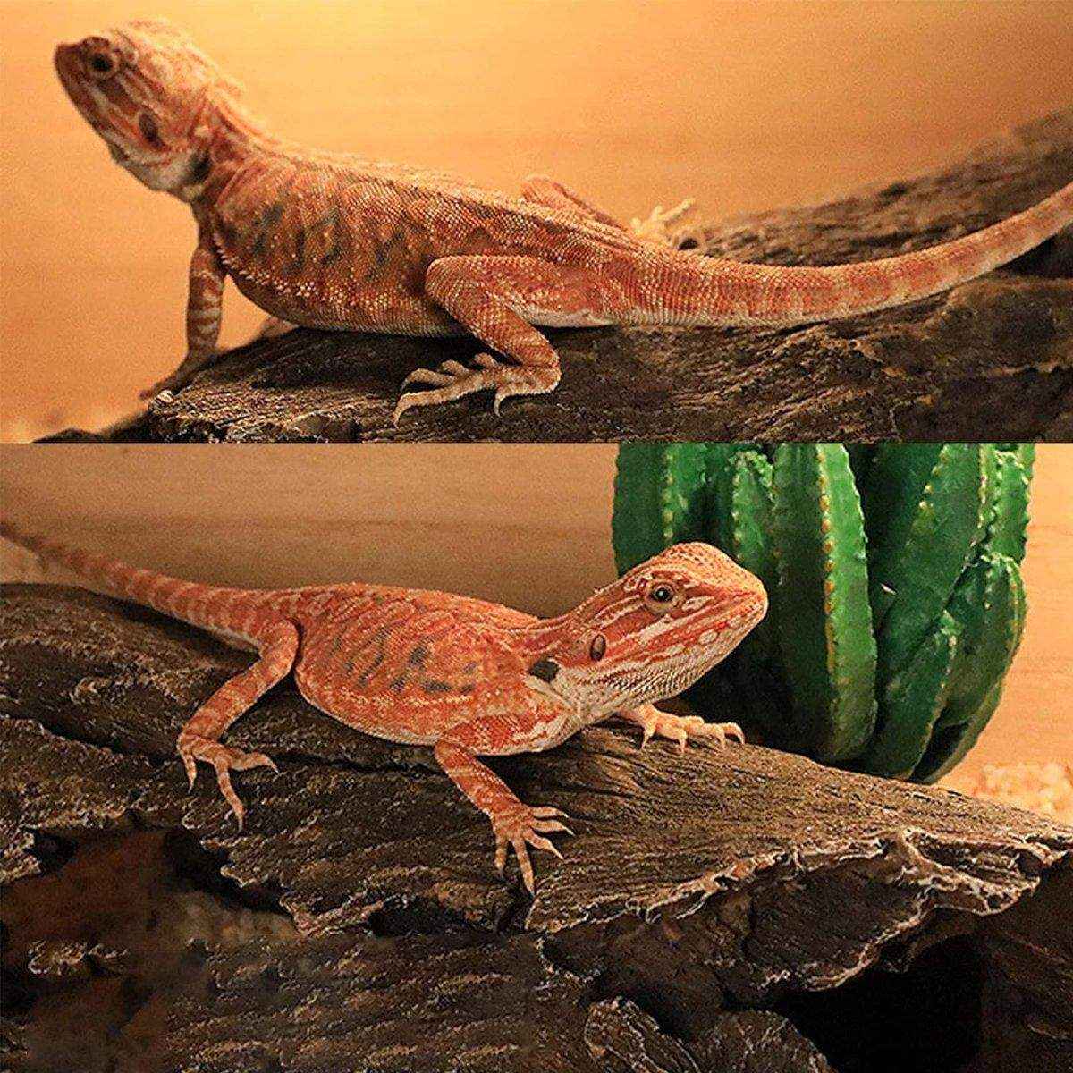 Tree Log Hide Ornament Trunk Tunnel Fish Reptile Tank Resin Aquarium Decoration - Image 3
