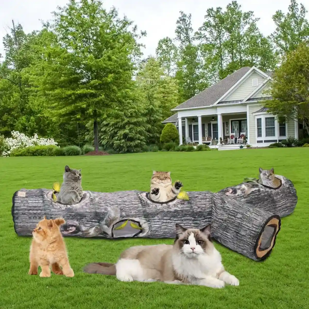 Y-Shaped Tree Trunk Cat Tunnel for Indoor & Outdoor Pet Play - Image 12