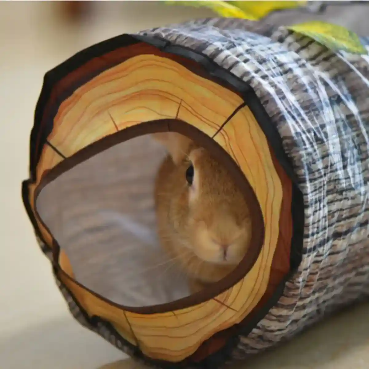 Y-Shaped Tree Trunk Cat Tunnel for Indoor & Outdoor Pet Play - Image 13