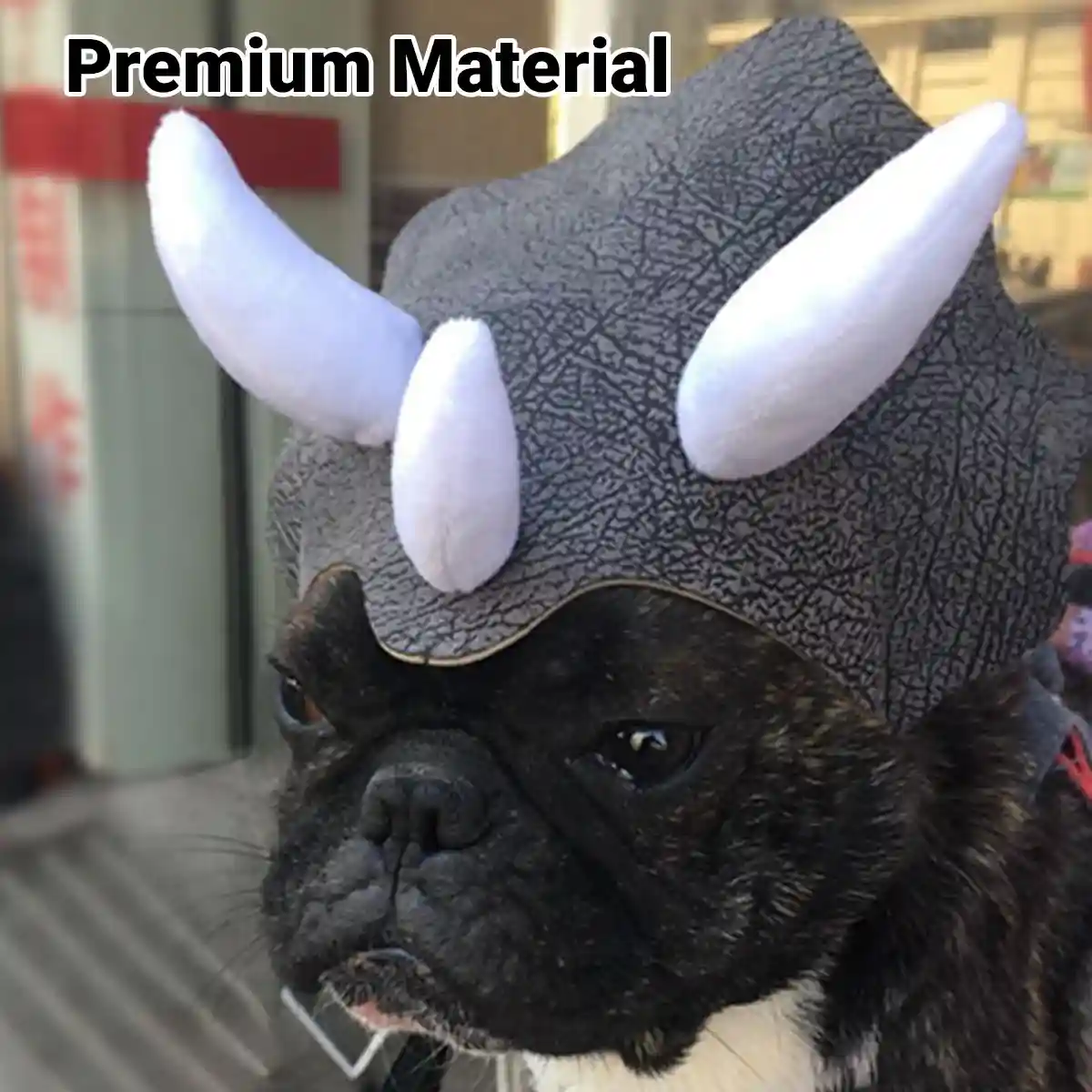 Triceratops Dog Costume Hat - Image 3