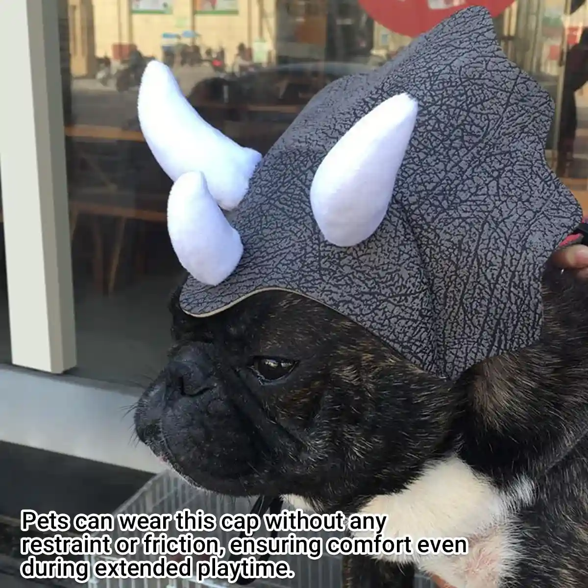 Triceratops Dog Costume Hat - Image 9