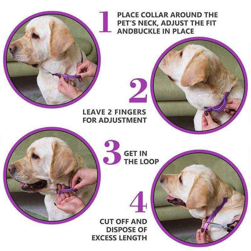 3/6PCS Pet Calming Collar Adjustable Anti-anxiety for Cats Dogs Stress Reduction - Image 9