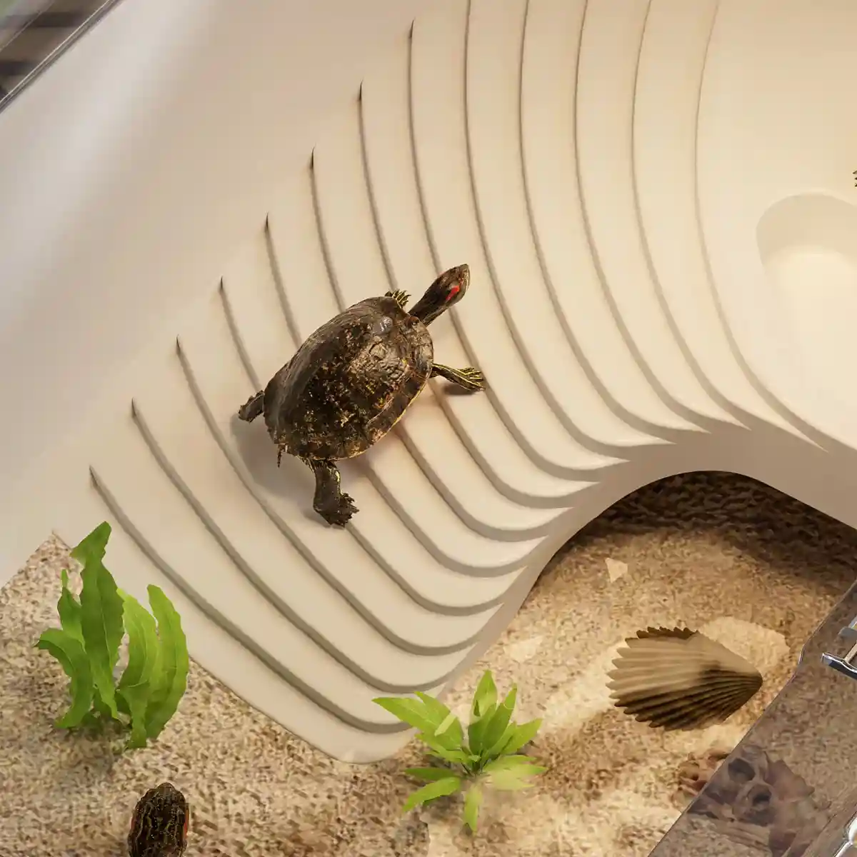 Turtle Breeding Box With Panoramic View - Image 7