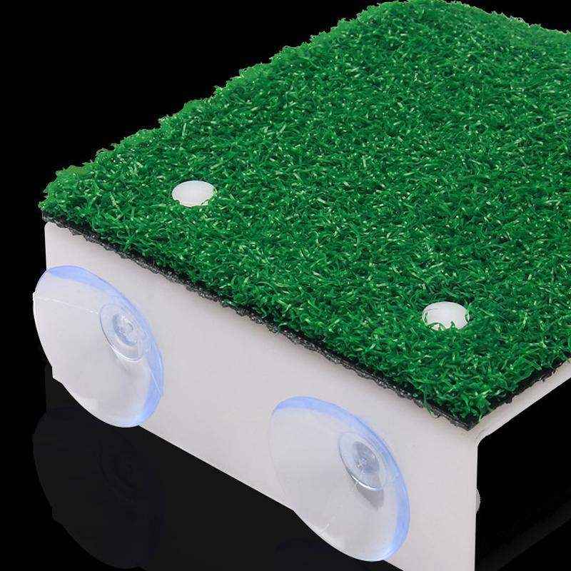 Turtle Reptile Climbing Platform S/M/L - Image 5