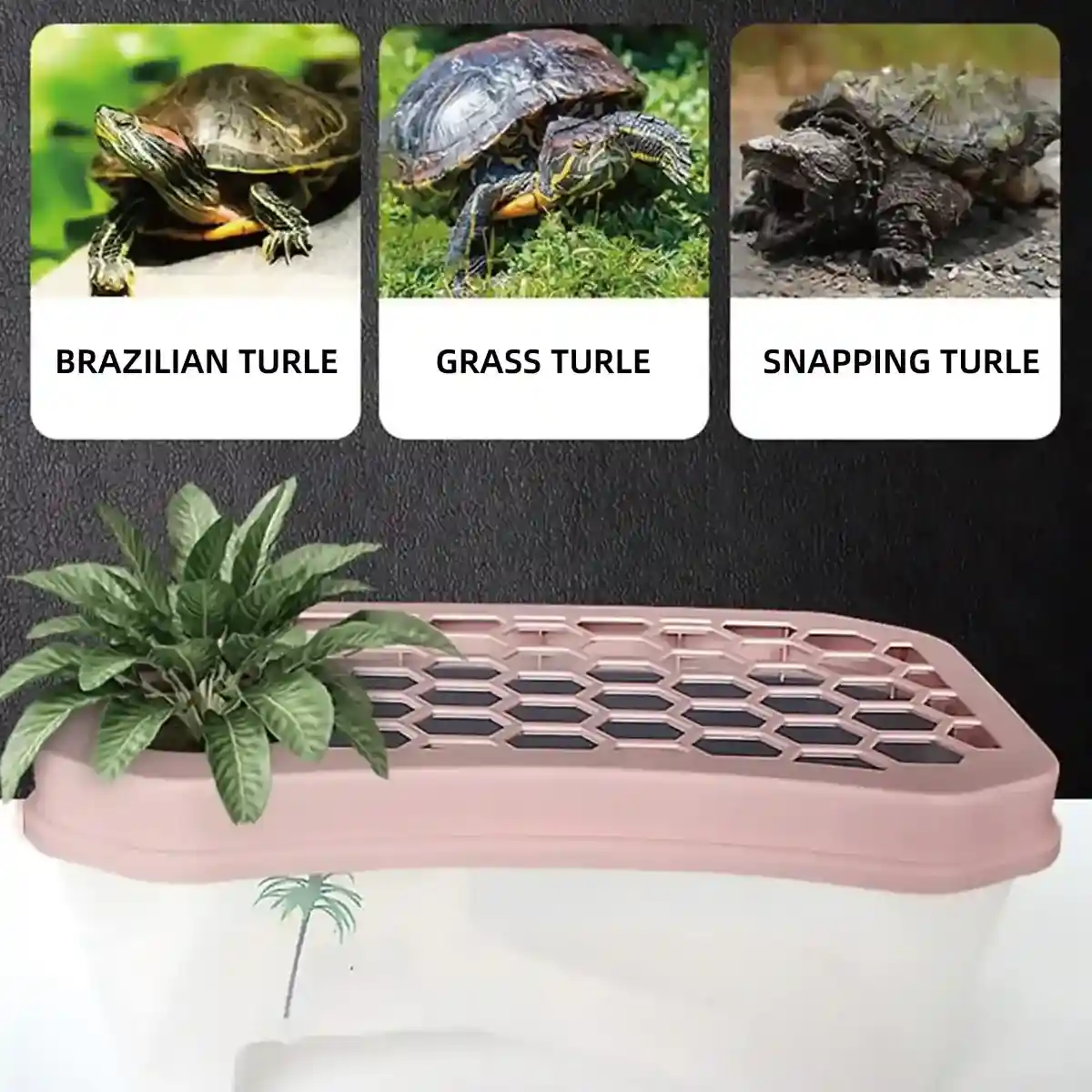 Breathable Turtle Tank Habitat with Basking Platform for Small Turtles - Image 4
