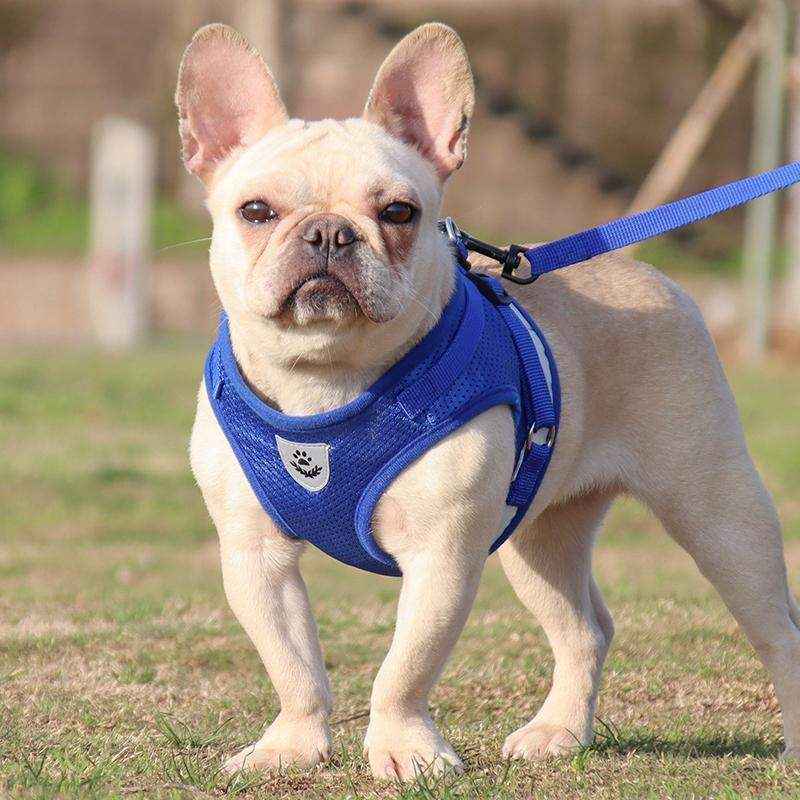 Reflective Dog Cat Pet Harness Leash Puppy Soft Adjustable  Vest Mesh Clothes - Image 7