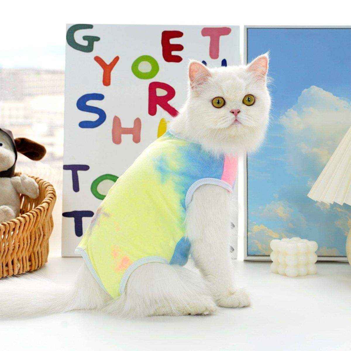 Pet Clothes Solid Color Striped Dog Cat Jumper Puppy Outfit - Image 11