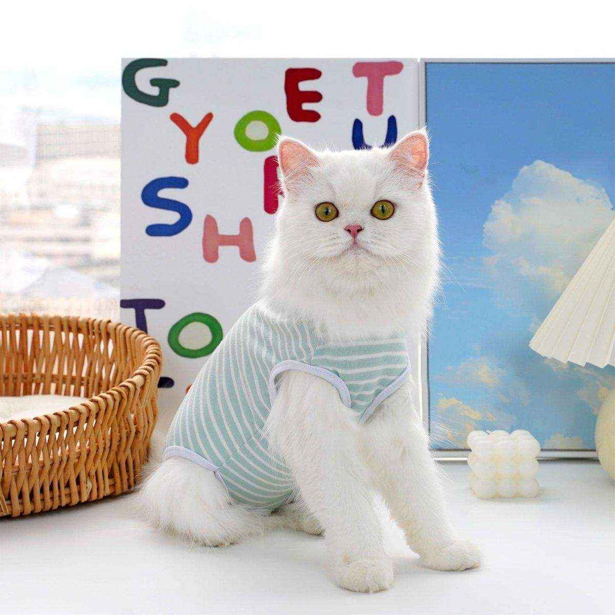 Pet Clothes Solid Color Striped Dog Cat Jumper Puppy Outfit - Image 9