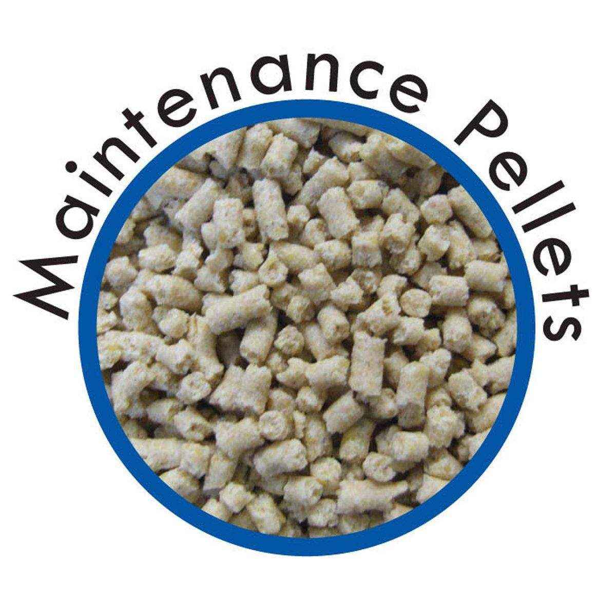 Vetafarm Maintenance Diet Pellets Bird Food 2kg - Image 2