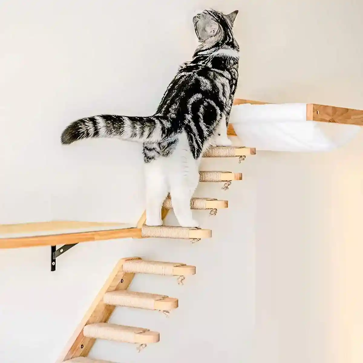 Wall-Mounted Cat Stairs Wooden Climbing Steps with Sisal for Cats - Image 5