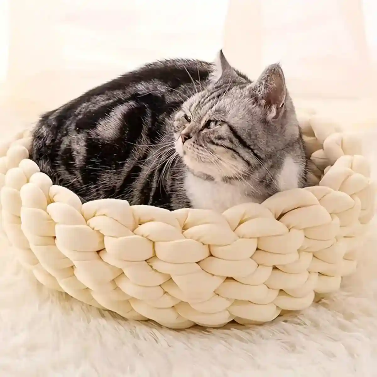 Washable Pet Litter Coarse Wool Dog Cat Litter Soft Comfortable Easy to Clean - Image 2