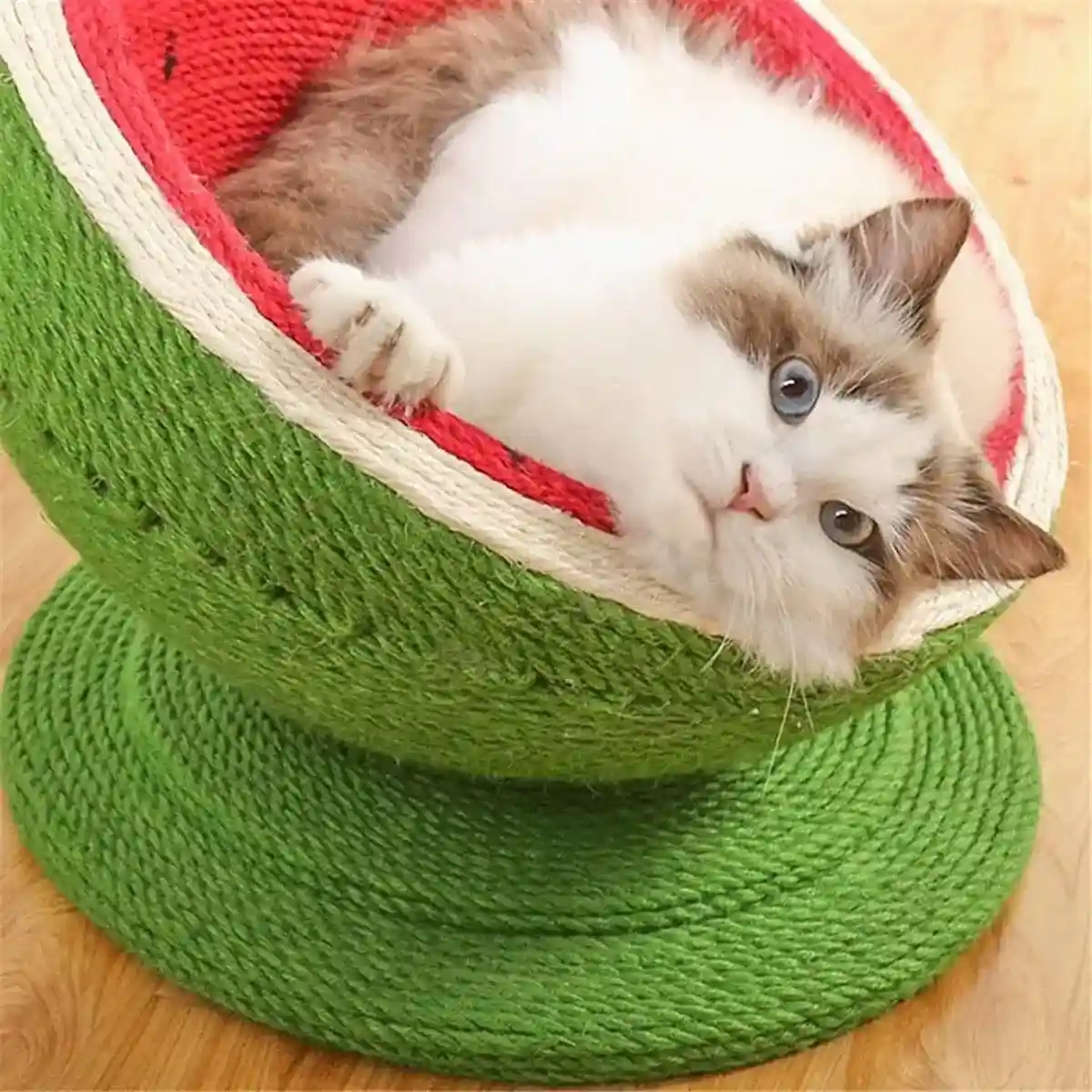 Watermelon Cat Scratching Pot Board Scratcher Toy for Cats Kitten - Image 11