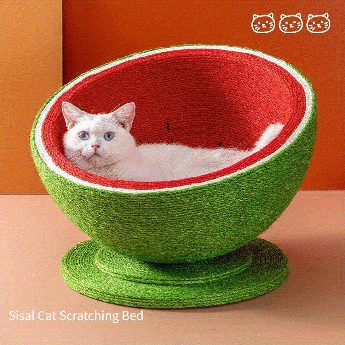 Watermelon Cat Scratching Pot Board Scratcher Toy for Cats Kitten - Image 12