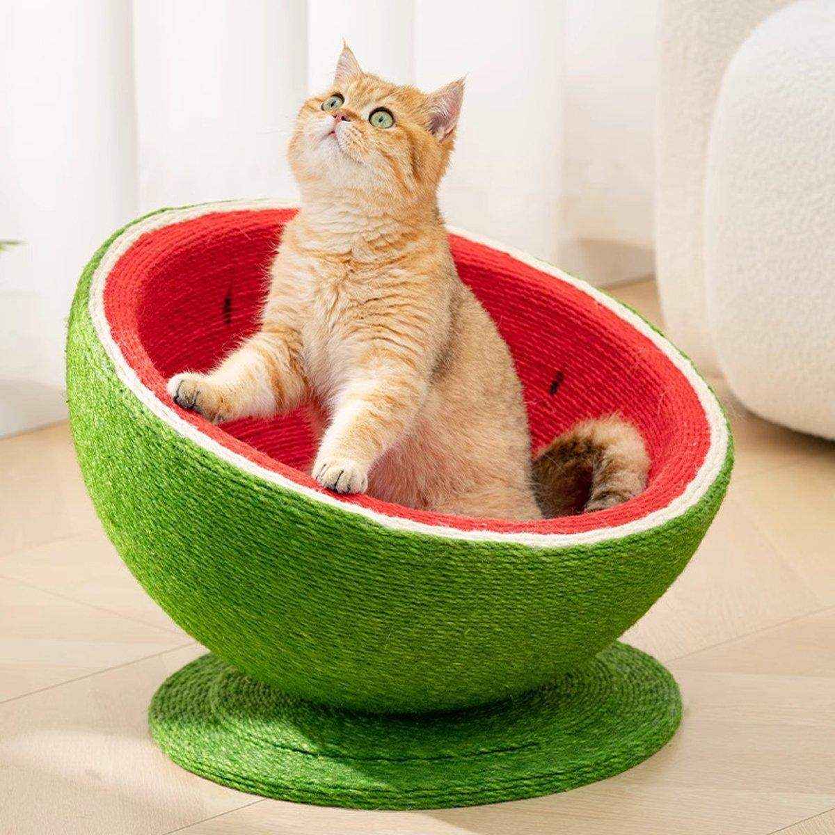 Watermelon Cat Scratching Pot Board Scratcher Toy for Cats Kitten - Image 4
