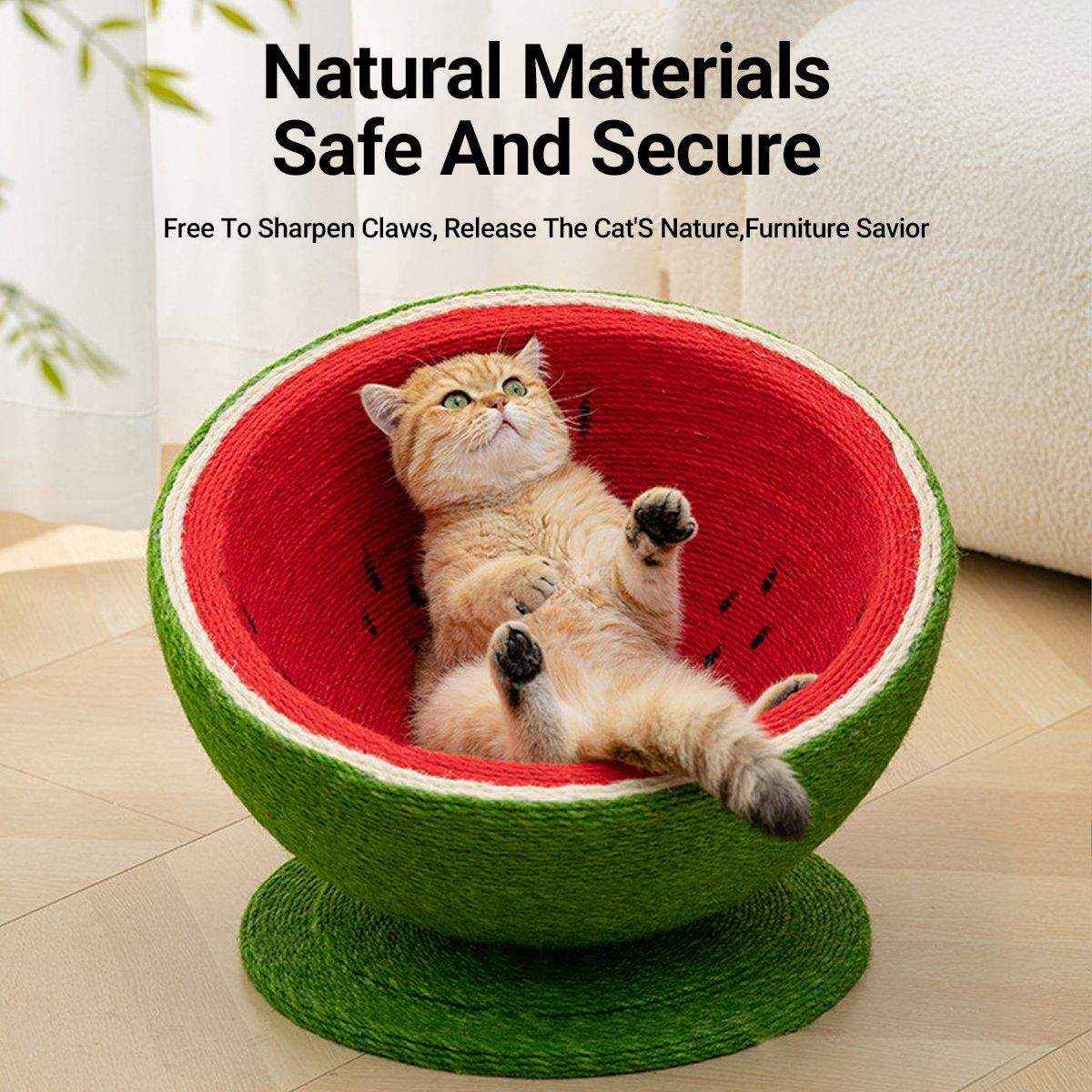 Watermelon Cat Scratching Pot Board Scratcher Toy for Cats Kitten - Image 5