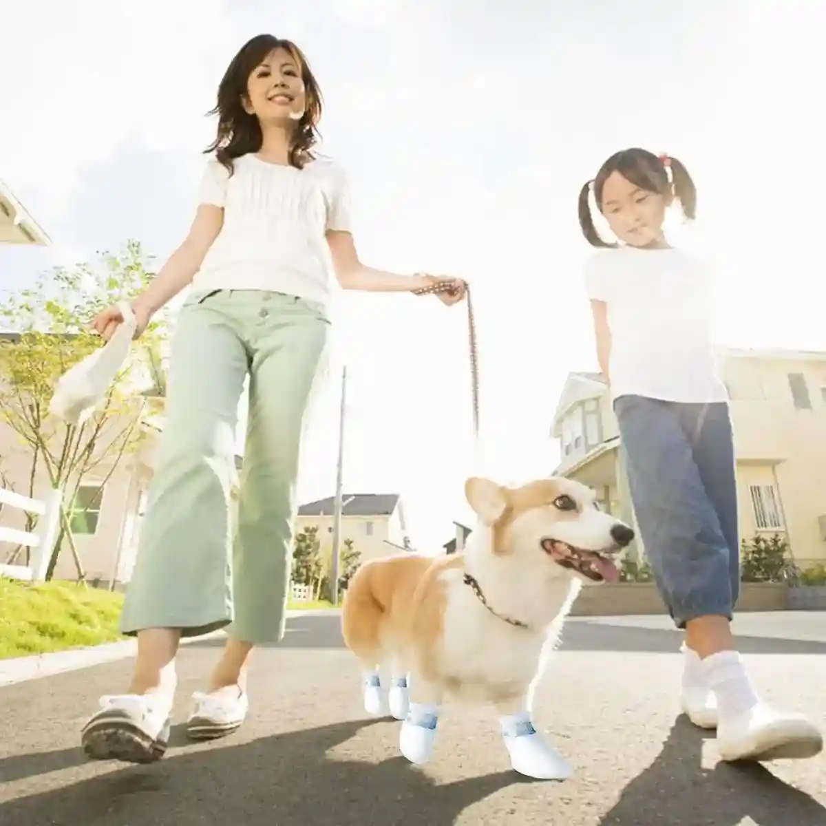 Waterproof Disposable Dog Shoe Covers - Image 15