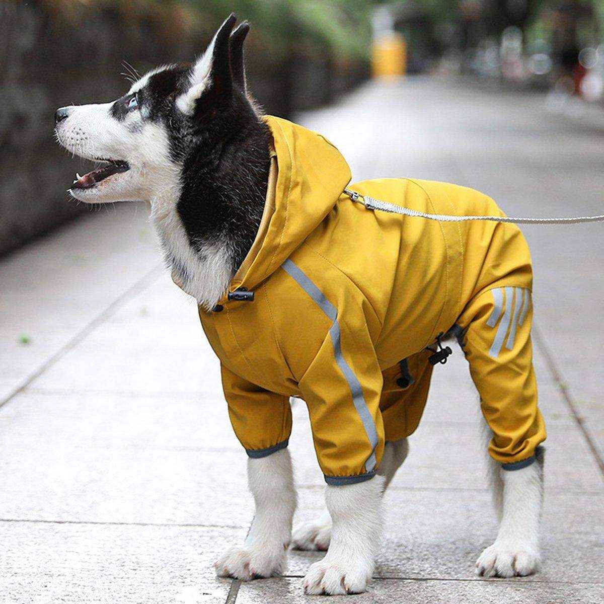 Waterproof Dog Raincoat for Small Medium Dogs - Image 10