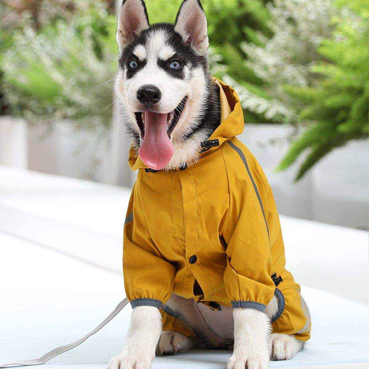 Waterproof Dog Raincoat for Small Medium Dogs - Image 16